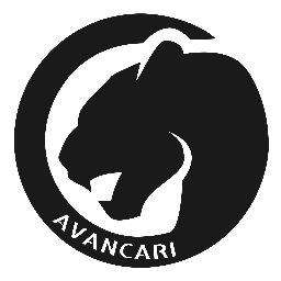 Avancari.co.cr